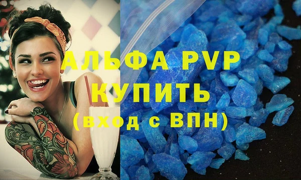 индика Верхний Тагил