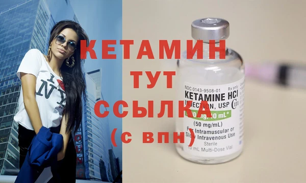 индика Верхний Тагил