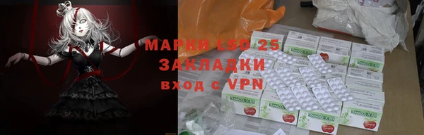 индика Верхний Тагил