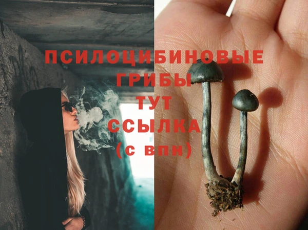 ешки Бронницы