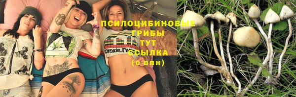 твердый Верея