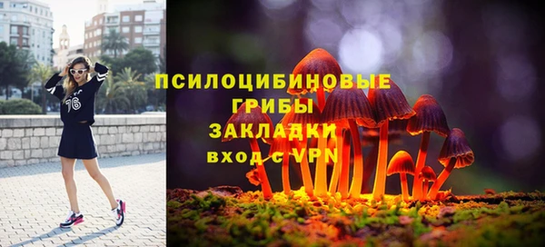 твердый Верея