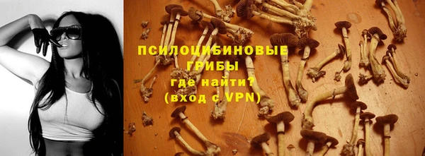 индика Верхний Тагил