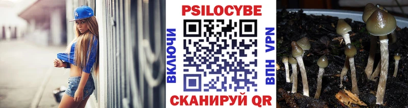hydra онион  купить   Гудермес  Галлюциногенные грибы Psilocybe 